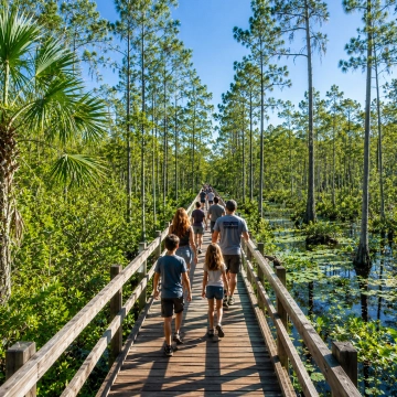 Group of People Exploring a Nature Preserve in Southwest Florida Group of People Exploring a Nature Preserve in Southwest Florida